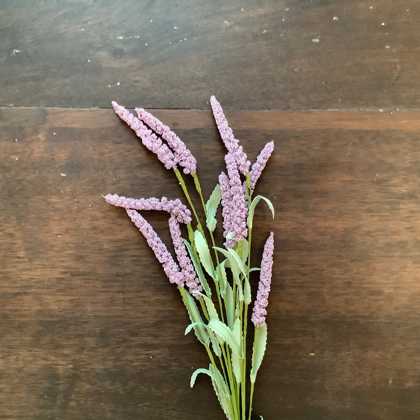 lavender bunch