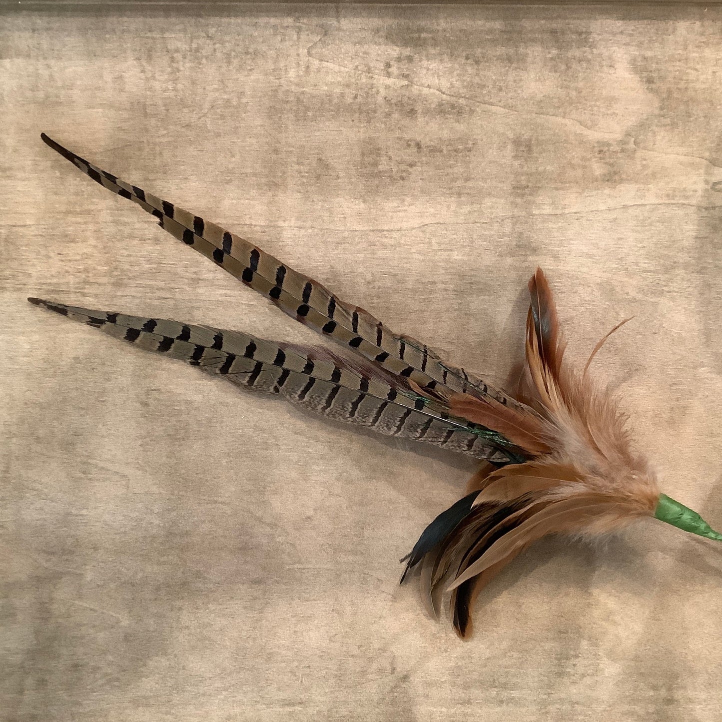 Mixed pheasant feather spray 38-1/2”