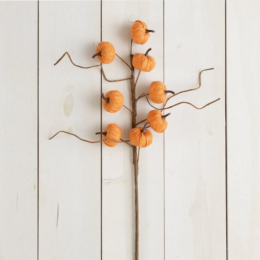branch of mini pumpkins