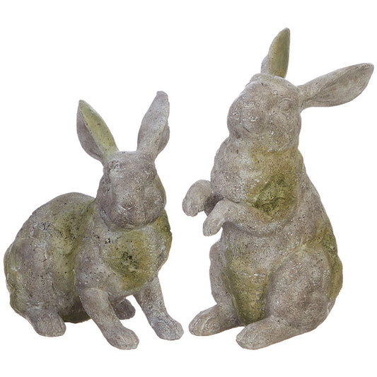 10-1/2" mossy rabbit